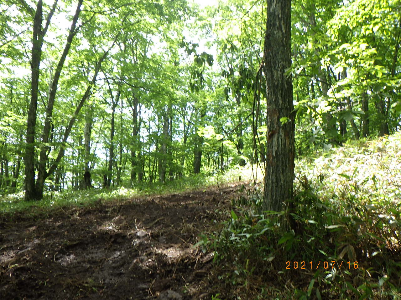 210712_蓼科解体後1